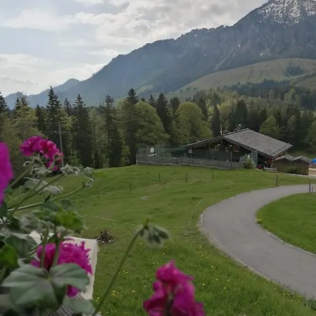 Apart-hotel Haus Obweg - Postalm *