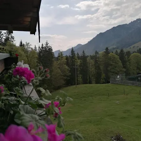 Haus Obweg - Postalm Aparthotel Hallein