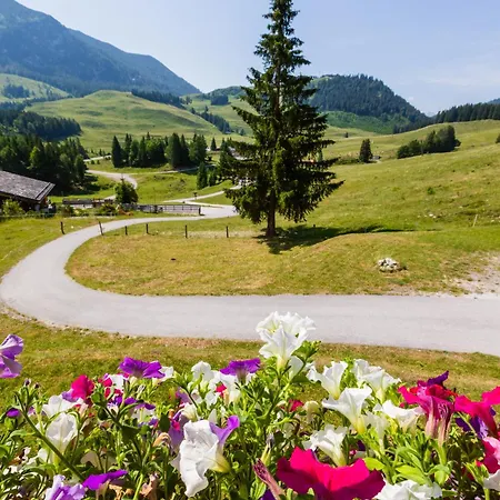 Haus Obweg - Postalm 3* Abtenau