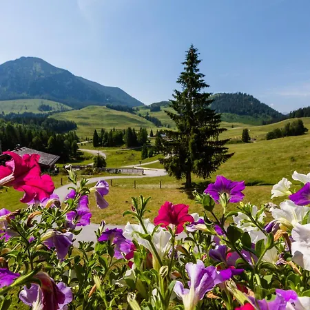 Haus Obweg - Postalm 3* Abtenau